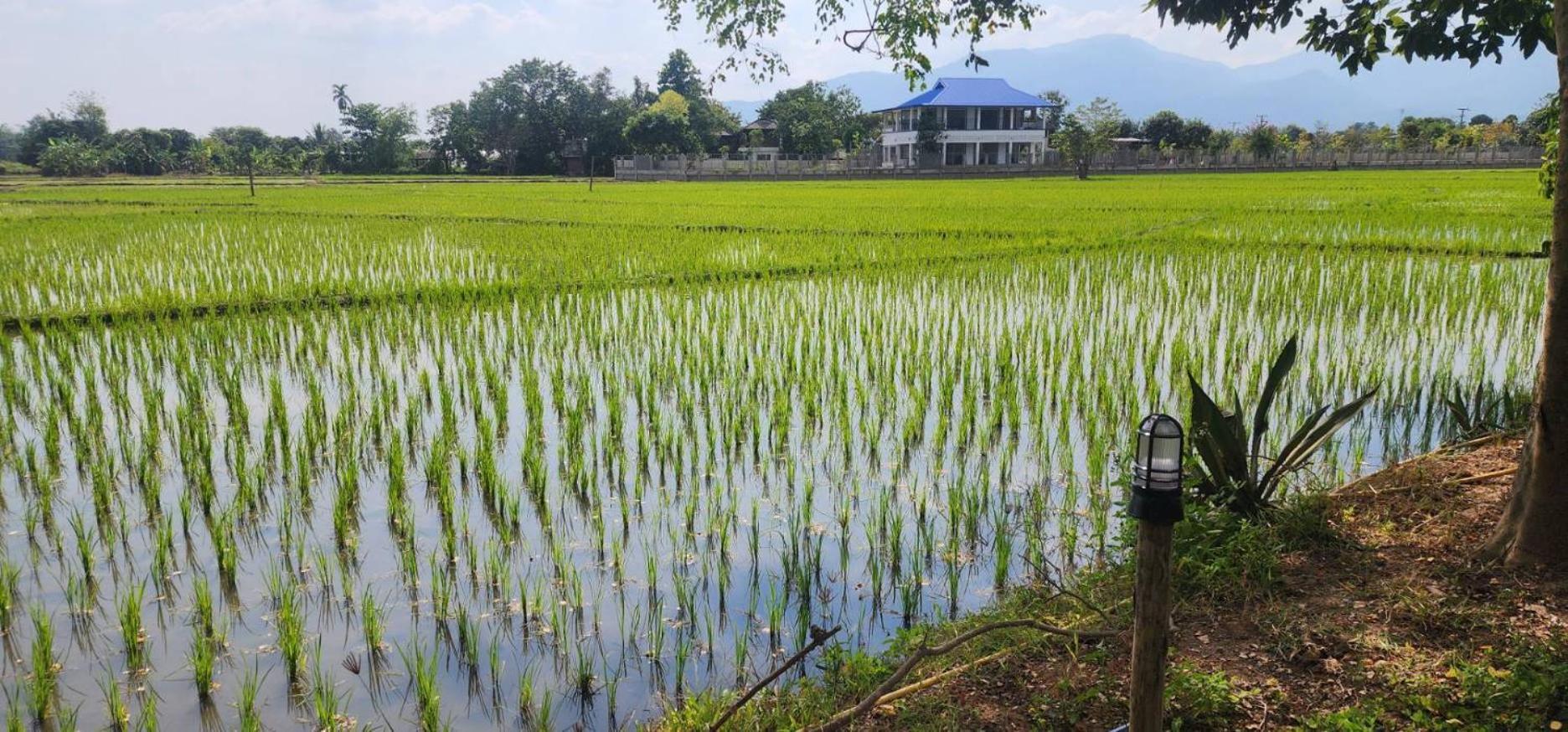 Tung Tong Homestay & Camping Mae Rim Exteriér fotografie