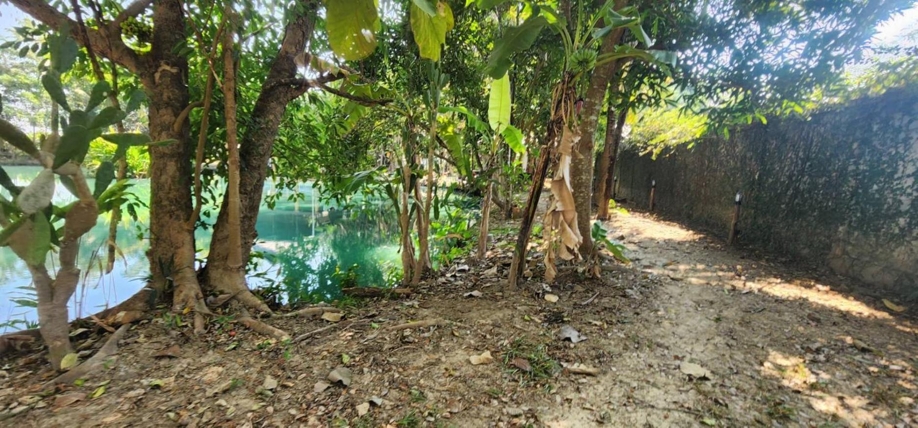 Tung Tong Homestay & Camping Mae Rim Exteriér fotografie