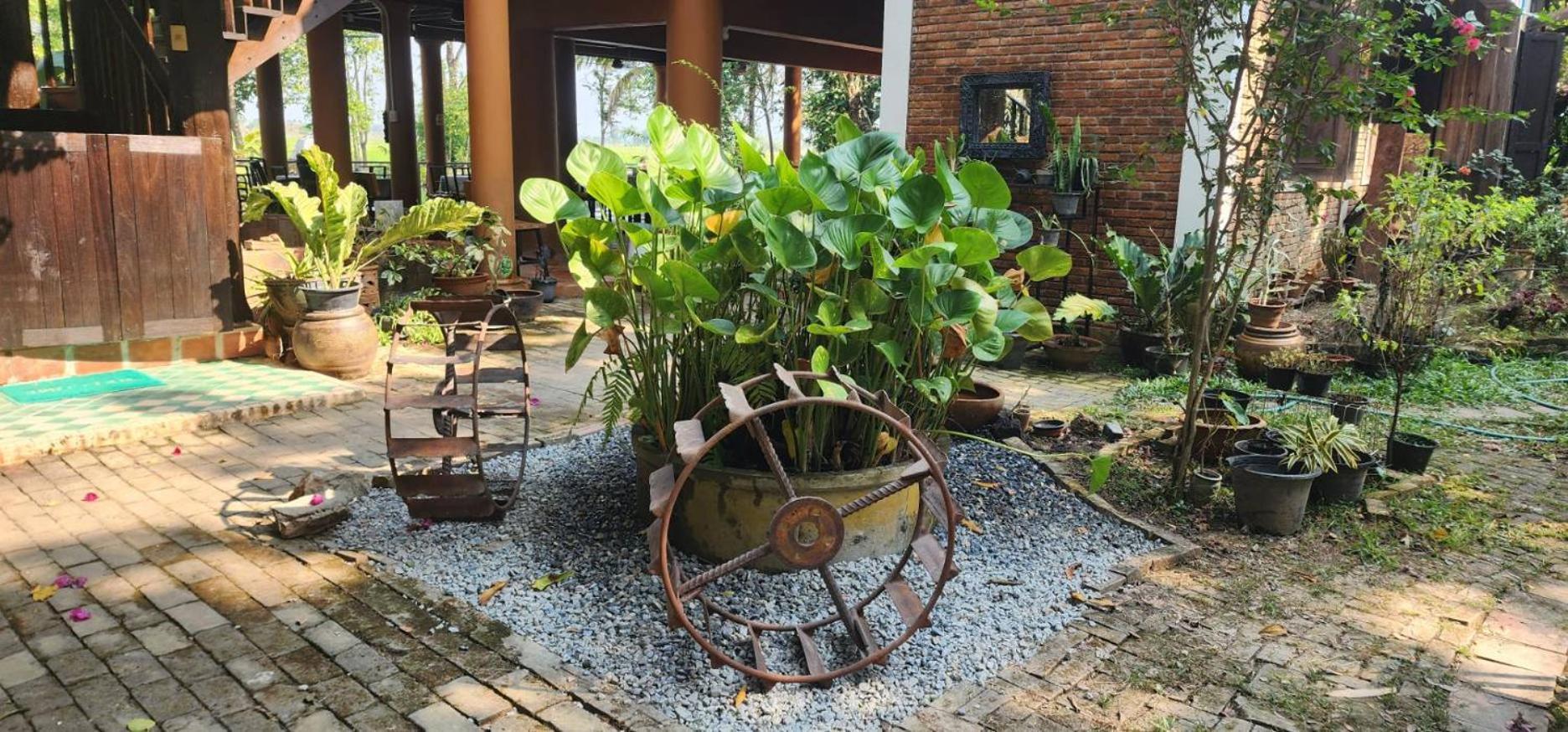 Tung Tong Homestay & Camping Mae Rim Exteriér fotografie