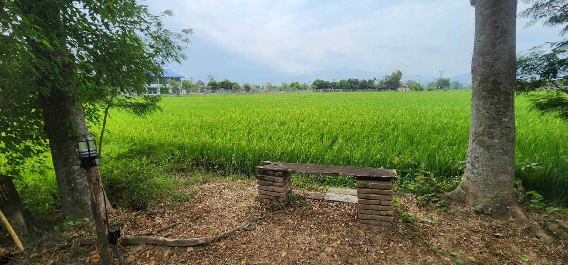 Tung Tong Homestay & Camping Mae Rim Exteriér fotografie