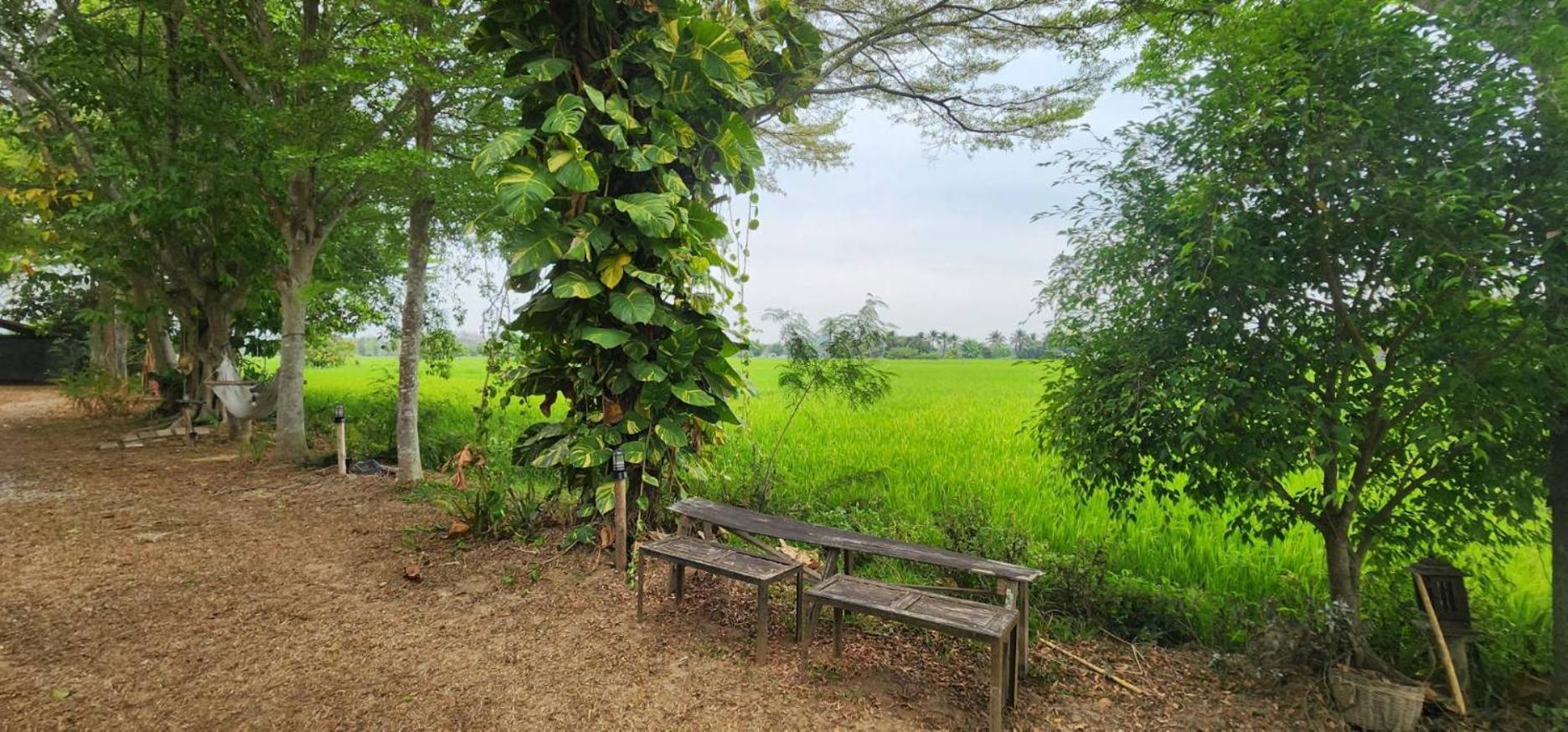 Tung Tong Homestay & Camping Mae Rim Exteriér fotografie