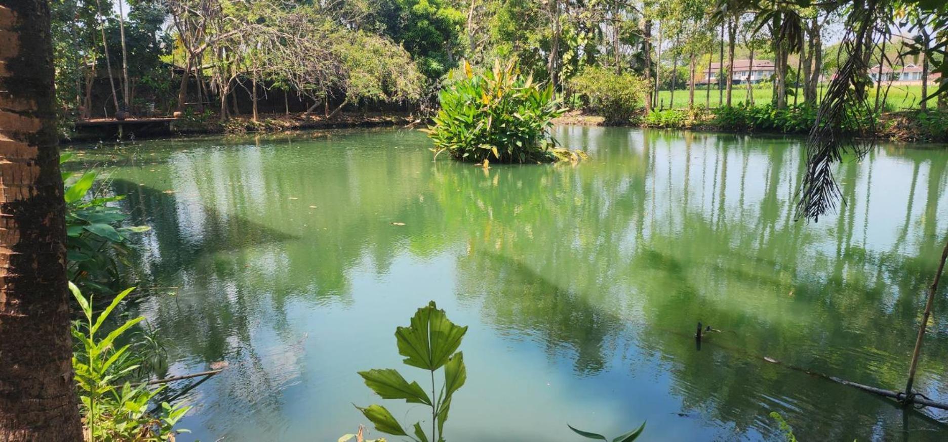 Tung Tong Homestay & Camping Mae Rim Exteriér fotografie