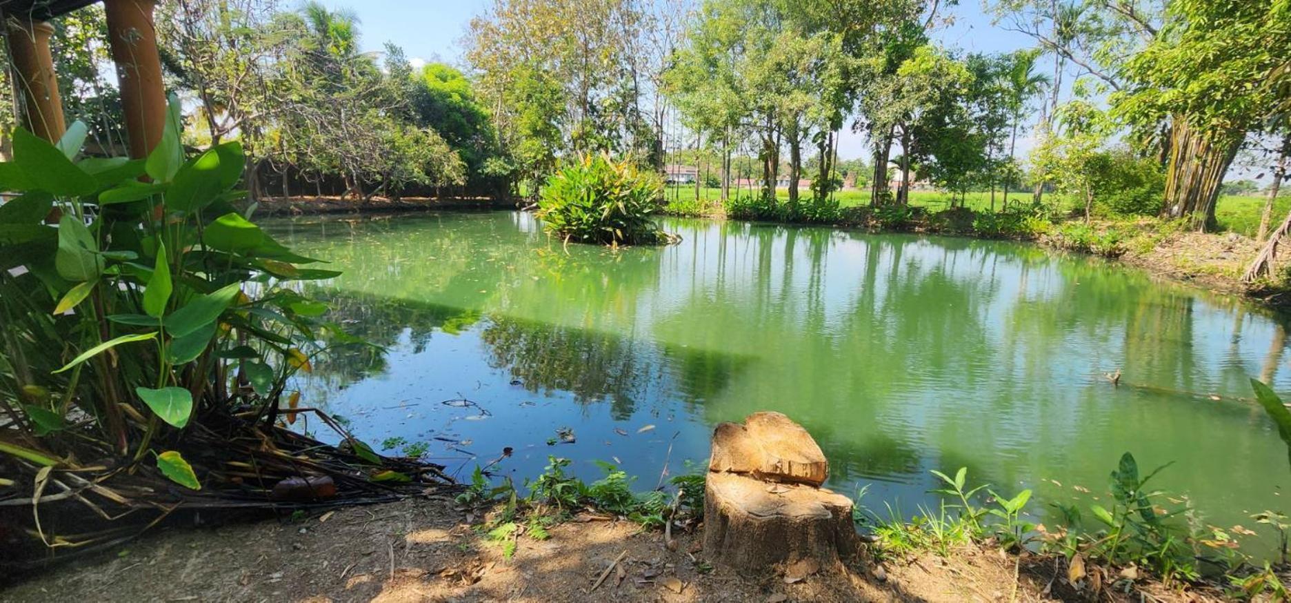 Tung Tong Homestay & Camping Mae Rim Exteriér fotografie