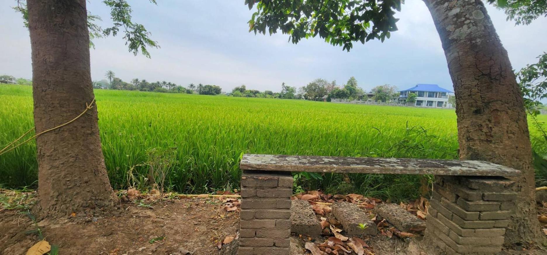 Tung Tong Homestay & Camping Mae Rim Exteriér fotografie