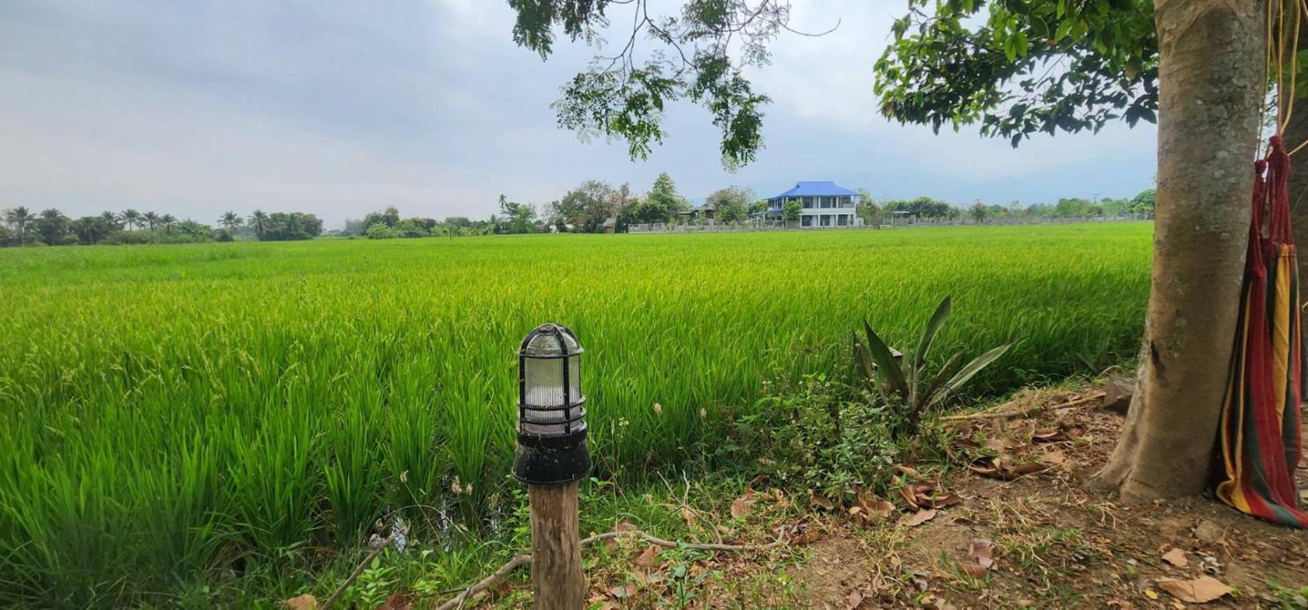 Tung Tong Homestay & Camping Mae Rim Exteriér fotografie