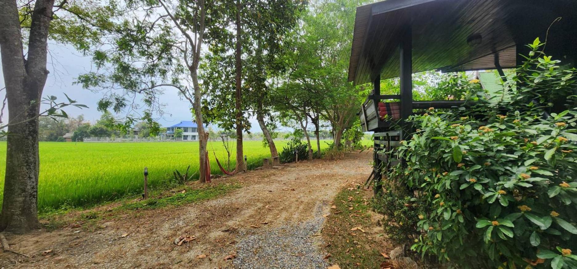 Tung Tong Homestay & Camping Mae Rim Exteriér fotografie